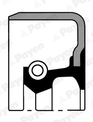Shaft Seal, manual transmission (NJ609)