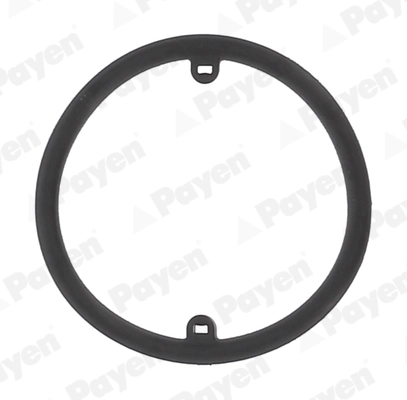 Seal Ring, oil cooler