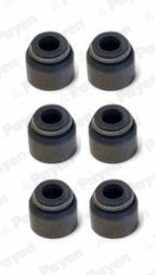 Seal Set, valve stem (HR5075)