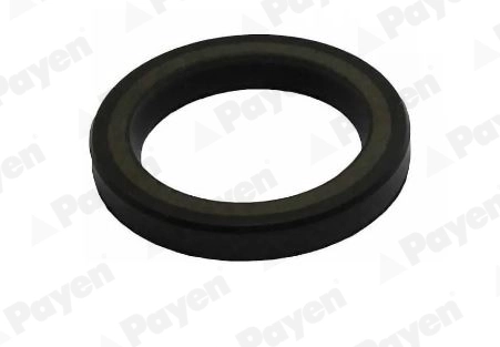 Shaft Seal, crankshaft (NA5506)