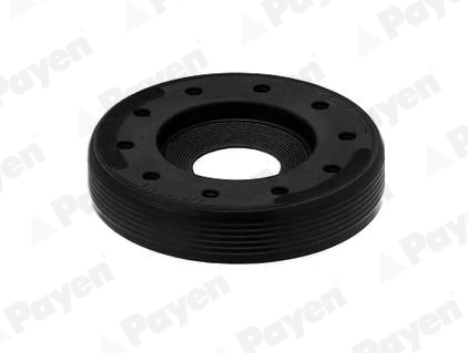 Shaft Seal, intermediate shaft