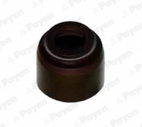 Seal Ring, valve stem (PA192)