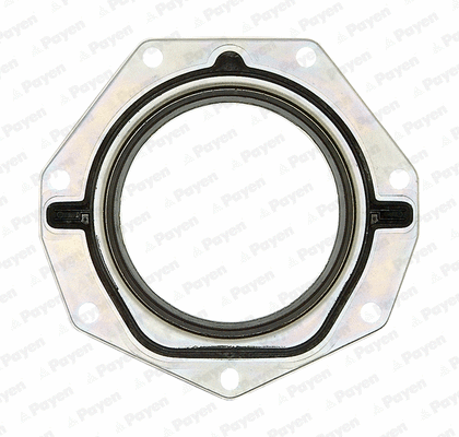Shaft Seal, crankshaft (NF886)
