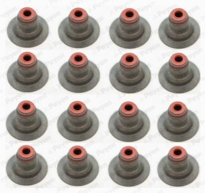 Seal Set, valve stem (HR5087)