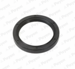 Shaft Seal, crankshaft (NA5282)