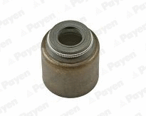 Seal Ring, valve stem (PA203)