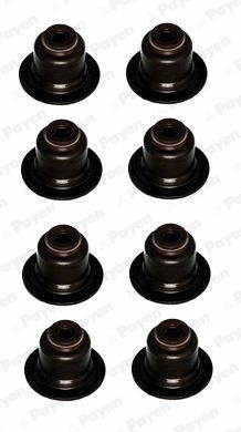 Seal Set, valve stem (HR809)