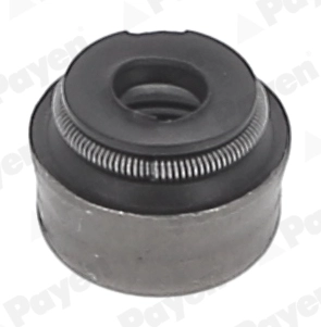 Seal Ring, valve stem