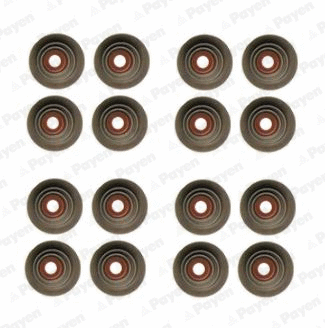 Seal Set, valve stem (HR5080)