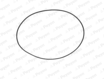 O-Ring, cylinder sleeve (PA708)