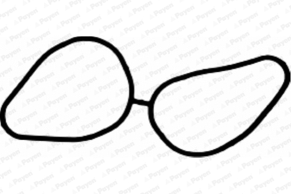 Gasket, intake manifold (JD5203)