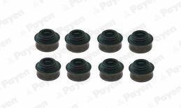 Seal Set, valve stem (HR343)