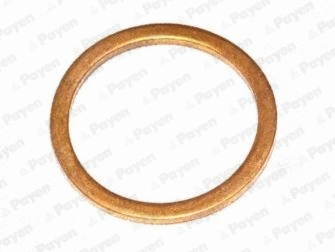 Seal Ring, oil drain plug (KG5148)