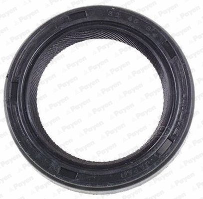 Shaft Seal, differential (NK117)