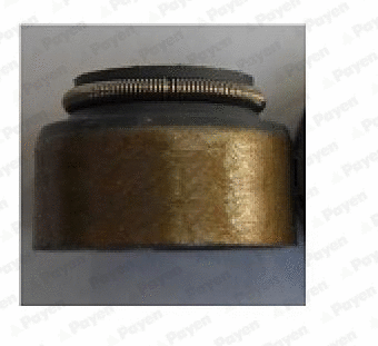 Seal Ring, valve stem (PA136)