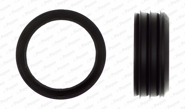 Gasket, intake manifold housing (JD6006)