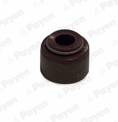 Seal Ring, valve stem (KJ570)