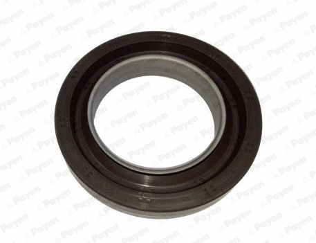 Shaft Seal, crankshaft (NA5202)
