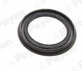 Shaft Seal, wheel hub (NJ695)