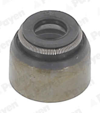 Seal Ring, valve stem