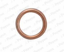 Seal Ring, oil drain plug (PA349)