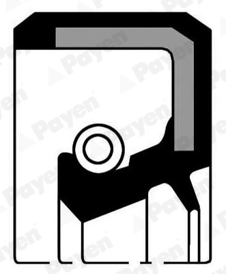 Shaft Seal, crankshaft (NB690)