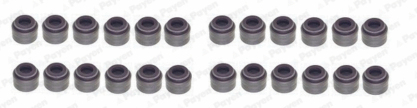 Seal Set, valve stem (HR5130)