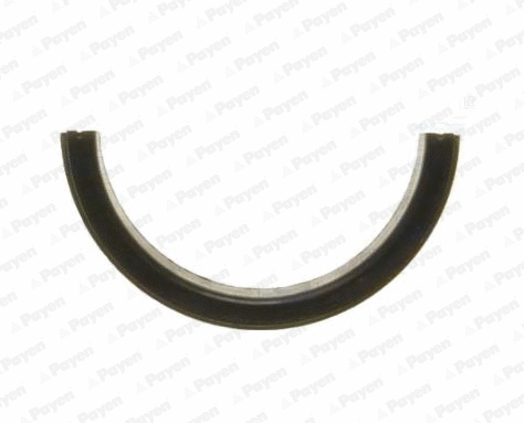 Shaft Seal, crankshaft (LV501)