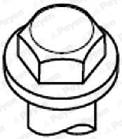 Cylinder Head Bolt Set (HBS426)