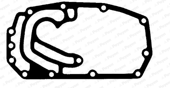 Gasket, timing case (JR580)