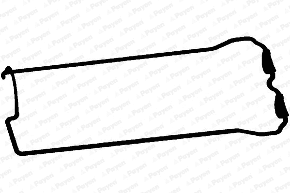 Gasket, cylinder head cover (JM5281)