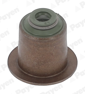 Seal Ring, valve stem