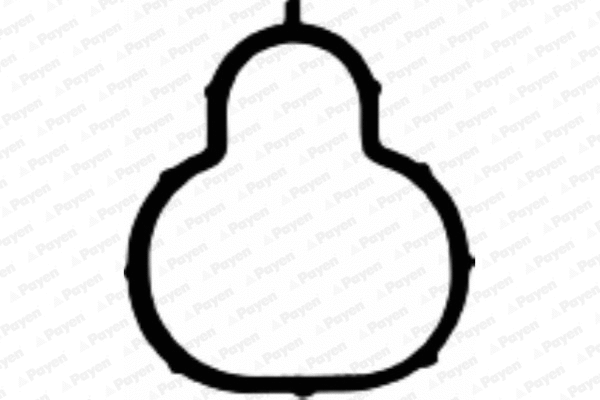 Gasket, intake manifold (JD5311)