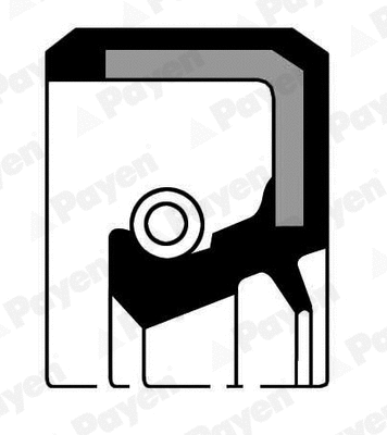 Shaft Seal, manual transmission (NJ611)
