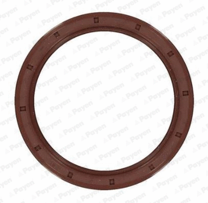 Shaft Seal, crankshaft (NA5479)