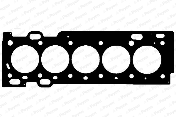 Gasket, cylinder head (AE5560)