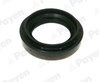 Shaft Seal, differential (NA5502)