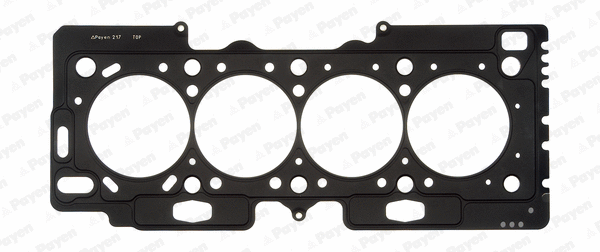 Gasket, cylinder head (AE5020)
