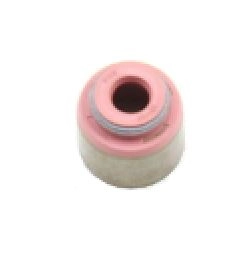 Seal Ring, valve stem (PA6127)