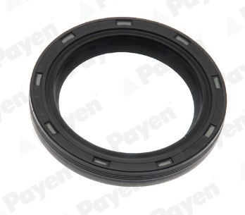 Shaft Seal, crankshaft