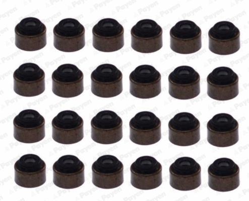 Seal Set, valve stem (HR5094)