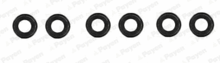 Seal Set, valve stem (HR638)