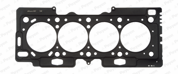 Gasket, cylinder head (AE5010)
