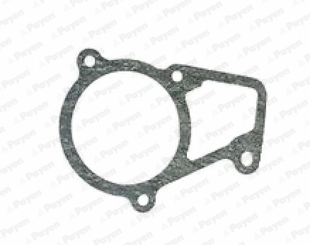 Seal, thermostat (KK5682)