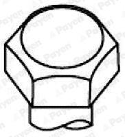 Cylinder Head Bolt Set (HBS520)