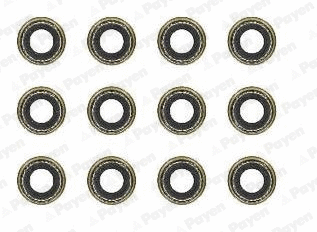 Seal Set, valve stem (HR5144)