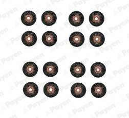 Seal Set, valve stem (HR5123)