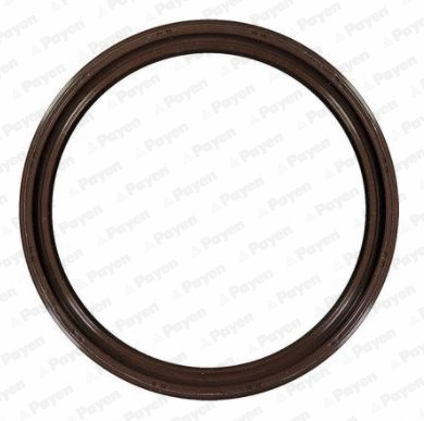 Shaft Seal, crankshaft (NK169)