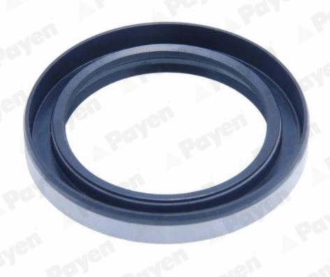 Shaft Seal, wheel hub (NJ892)