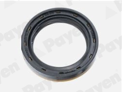 Shaft Seal, differential (NA5503)